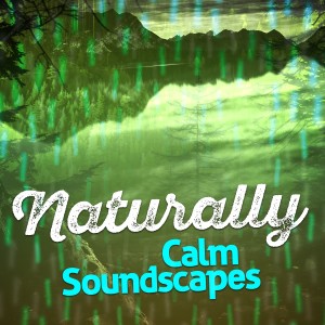 ดาวน์โหลดและฟังเพลง Bird Sounds พร้อมเนื้อเพลงจาก Calm Bird Sounds