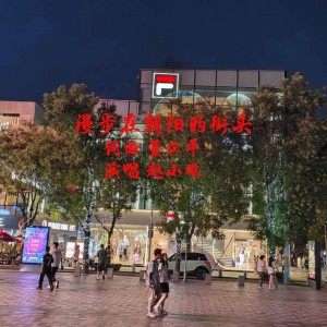 中正平和的專輯漫步在朝陽的街頭