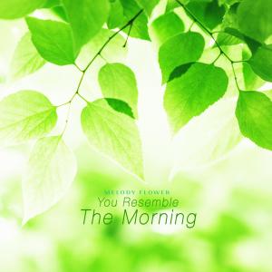 Album You Resemble The Morning from Melody Flower