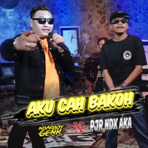 Dengarkan Aku Cah Bakoh lagu dari Ndarboy Genk dengan lirik