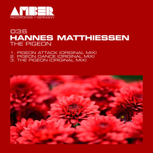 Listen to The Pigeon song with lyrics from Hannes Matthiessen