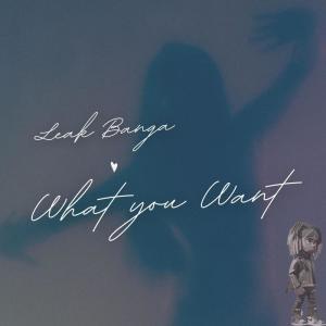 Listen to What you want song with lyrics from Leak Banga