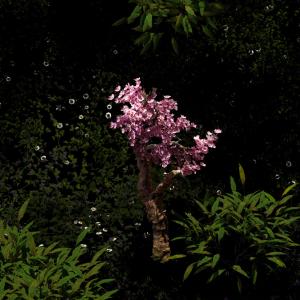 Vxrt的專輯bloom