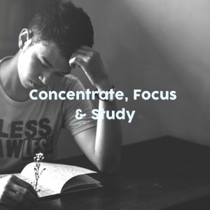 Concentration Study的专辑Concentrate, Focus & Study