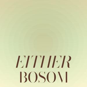 Album Either Bosom oleh Various