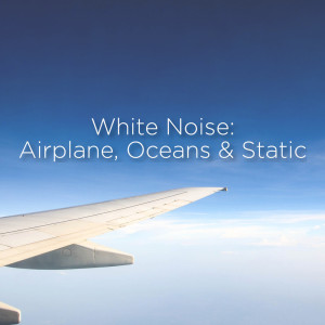 Album White Noise: Airplane, Ocean & Static from White Noise