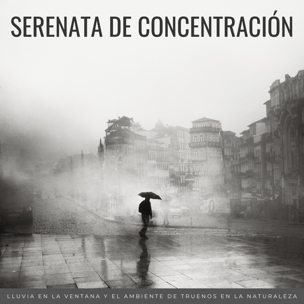 Sinfonía Para La Concentración