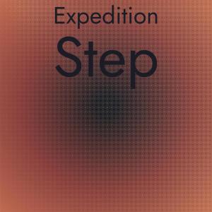 Various的专辑Expedition Step