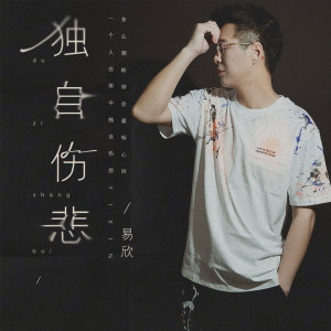 收聽易欣的獨自傷悲 (伴奏)歌詞歌曲