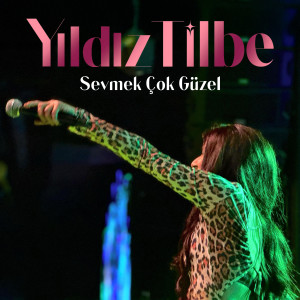 Album Sevmek Çok Güzel from Yildiz Tilbe