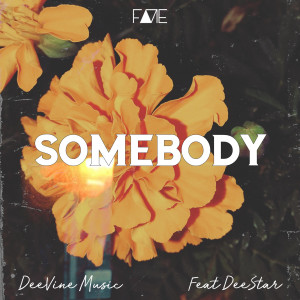 Listen to Somebody song with lyrics from DeeVine Music