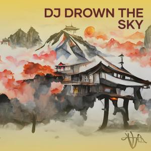 อัลบัม Dj Drown the Sky (Remix) ศิลปิน VIEWGANG