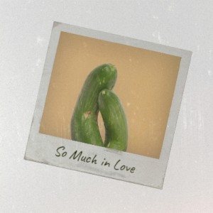 อัลบัม So Much in Love ศิลปิน Various Artist