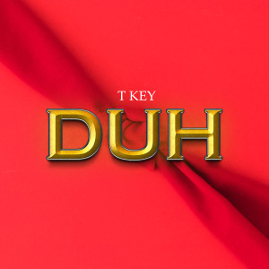 Album DUH from T-Key