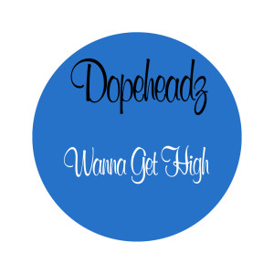 Dopeheadz的专辑Wanna Get High