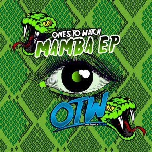 Dengarkan lagu Throw It Back(feat. Walshy Fire) (Original Mix) nyanyian I.O.A dengan lirik