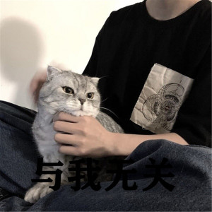Album 与我无关 from 亮总
