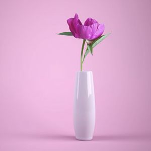 Listen to 理想之花 (Live) song with lyrics from 朱习爱