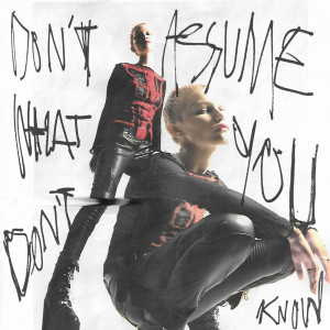 ดาวน์โหลดและฟังเพลง Don't Assume What You Don't Know พร้อมเนื้อเพลงจาก Grace VanderWaal