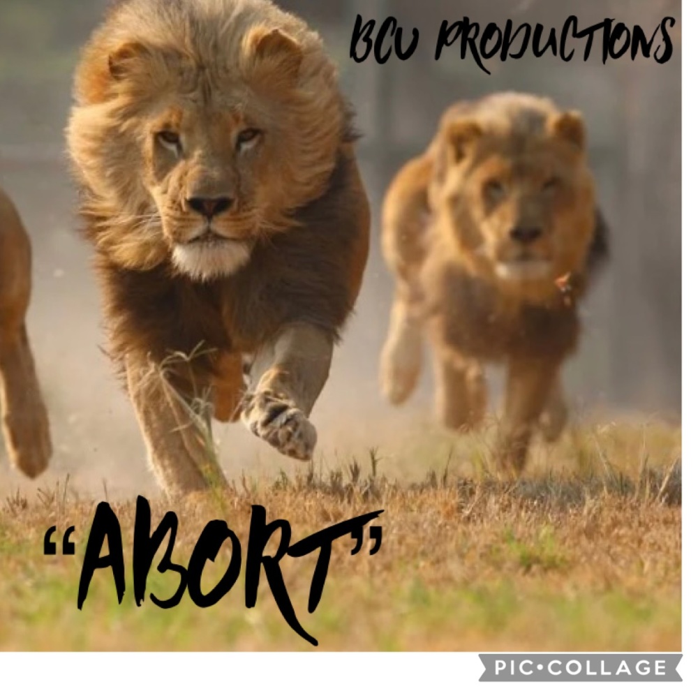 Abort