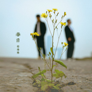 Album 春日 from 好妹妹乐队