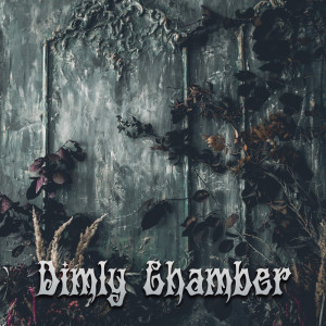 Album Dimly Chamber from PeriTune