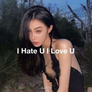 Listen to I Hate U I Love U (Remix) song with lyrics from 王一朵