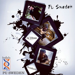 อัลบัม รักเหลือเกิน ศิลปิน Pu Sweden