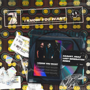 Dengarkan lagu I Know You Want (VIP MIX) nyanyian Hadart dengan lirik