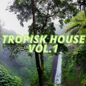 Listen to Lady Lovibond (Deep Fragrance Mix) song with lyrics from Frank Rivolta
