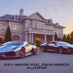 Album Juicy Dripping from Jervis