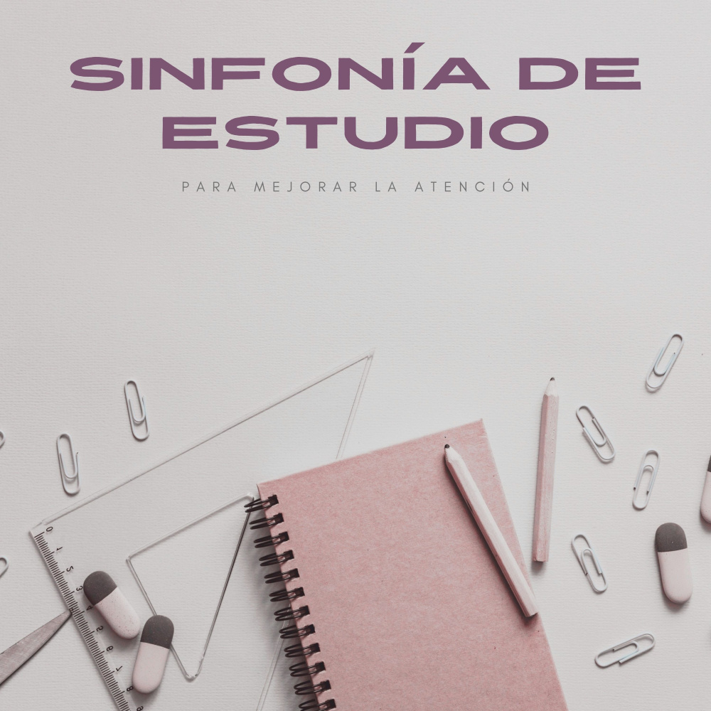 Satisfactoria Canción De Estudio