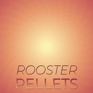 Album Rooster Pellets oleh Various