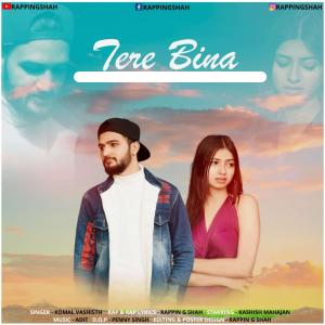 Album tere bina from Rappin G Shah