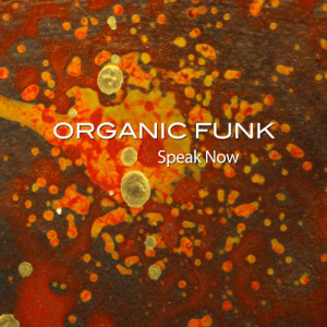ดาวน์โหลดและฟังเพลง Speak Now พร้อมเนื้อเพลงจาก Organic Funk