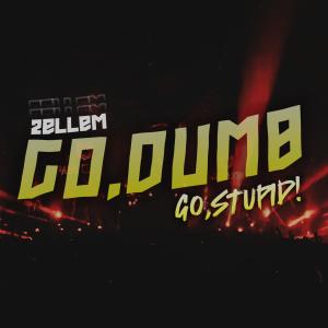 อัลบัม Go Dumb, Go Stupid! ศิลปิน 2ELLEM