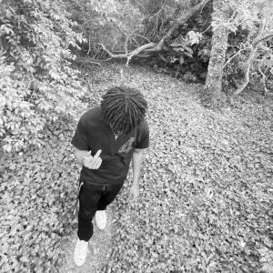 Listen to Wishlist (Explicit) song with lyrics from Mc Vuitton