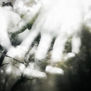 收聽lampp的in my head (Explicit)歌詞歌曲