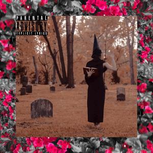 Album d i f f e r e n t (Explicit) from Night