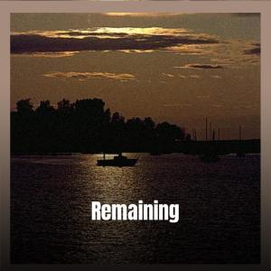 Album Remaining from Various