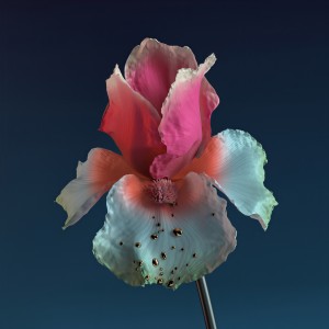 Listen to Numb & Getting Colder (Baauer Remix) song with lyrics from Flume