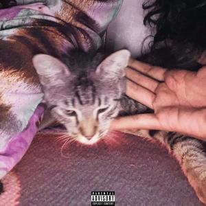 Album Ga Nguati (Explicit) from 