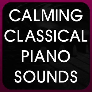 收聽Calming Classical Piano Sounds的String Quartet No. 5 in a, Op. 18, No. 5: III. Andante Cantabile歌詞歌曲