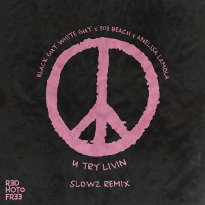 อัลบัม U Try Livin' (Pressure) (Slowz Remix) ศิลปิน Black Guy White Guy