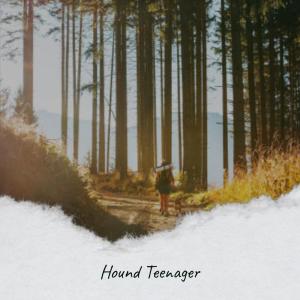 Various的专辑Hound Teenager