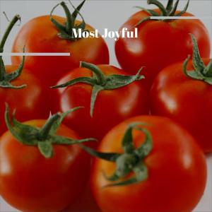 ดาวน์โหลดและฟังเพลง Christmas Man พร้อมเนื้อเพลงจาก Jeta Tais