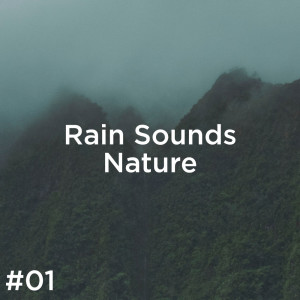 Dengarkan Nature & Rain lagu dari Rain Sounds dengan lirik