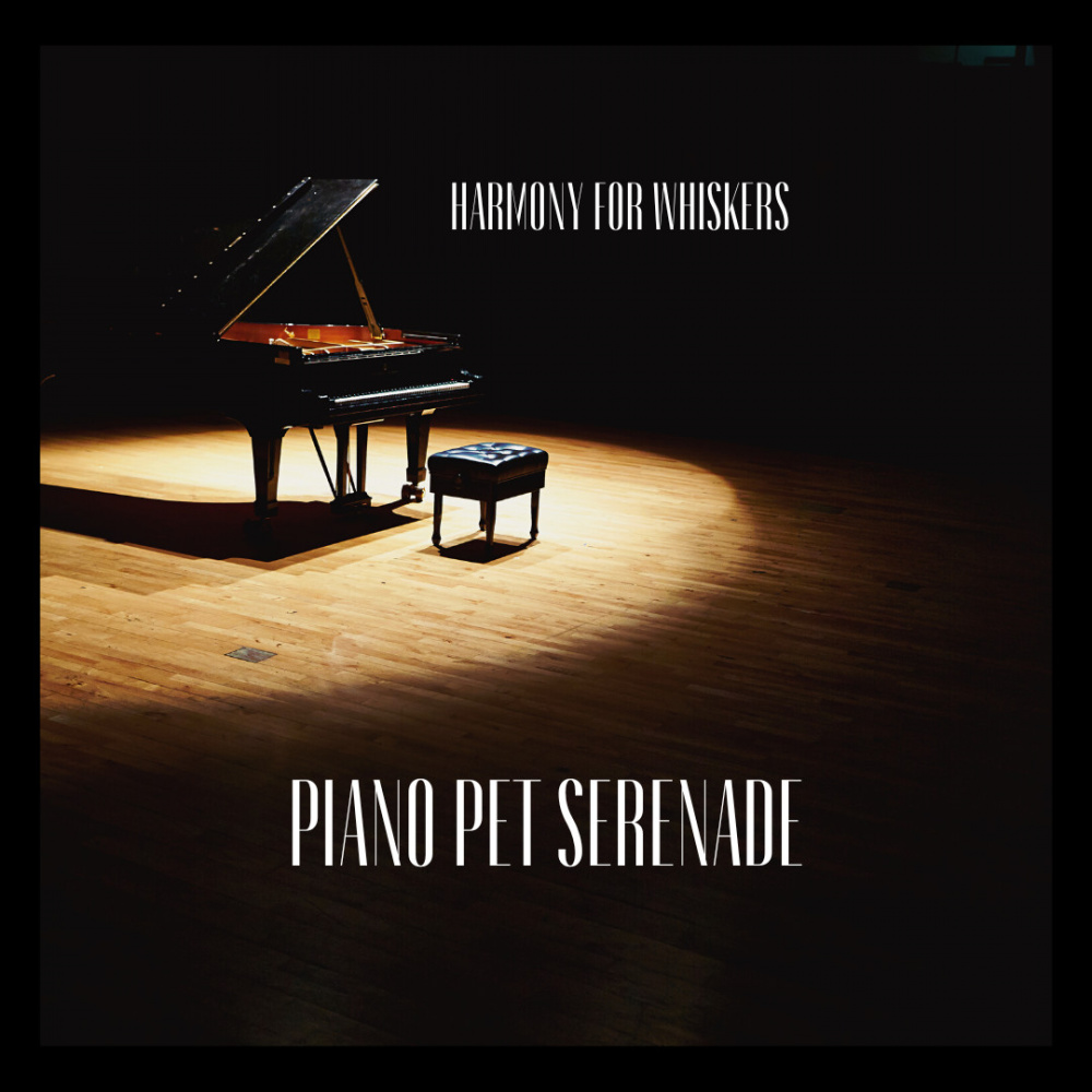 Piano Companions: Whiskered Melodic Bonds