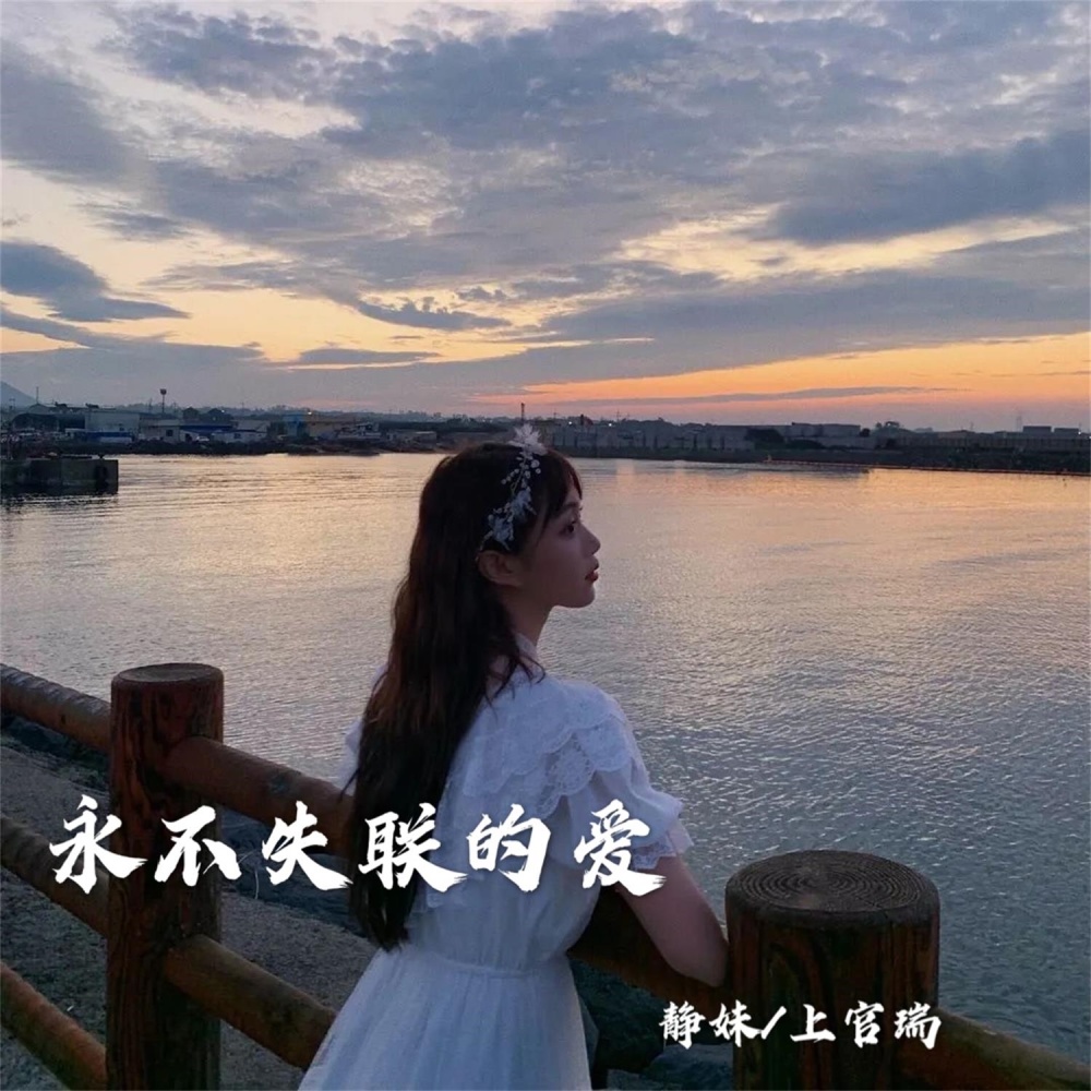 飞车热播