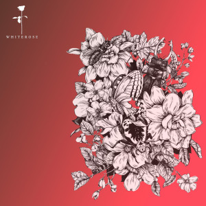 ดาวน์โหลดและฟังเพลง Cant Stop พร้อมเนื้อเพลงจาก Bilgehan Ünver